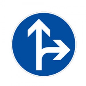 عبور مستقیم و گردش به راست مجاز است
